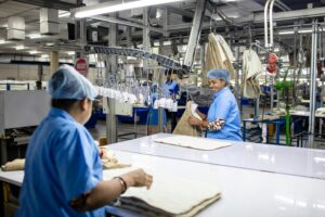 Employées travaillant en équipe dans une petite entreprise, illustrant la mise en place de la QVCT